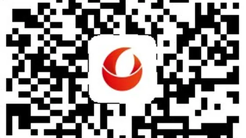 穆雷：得分只是冰山一角，他的组织天赋不容忽视